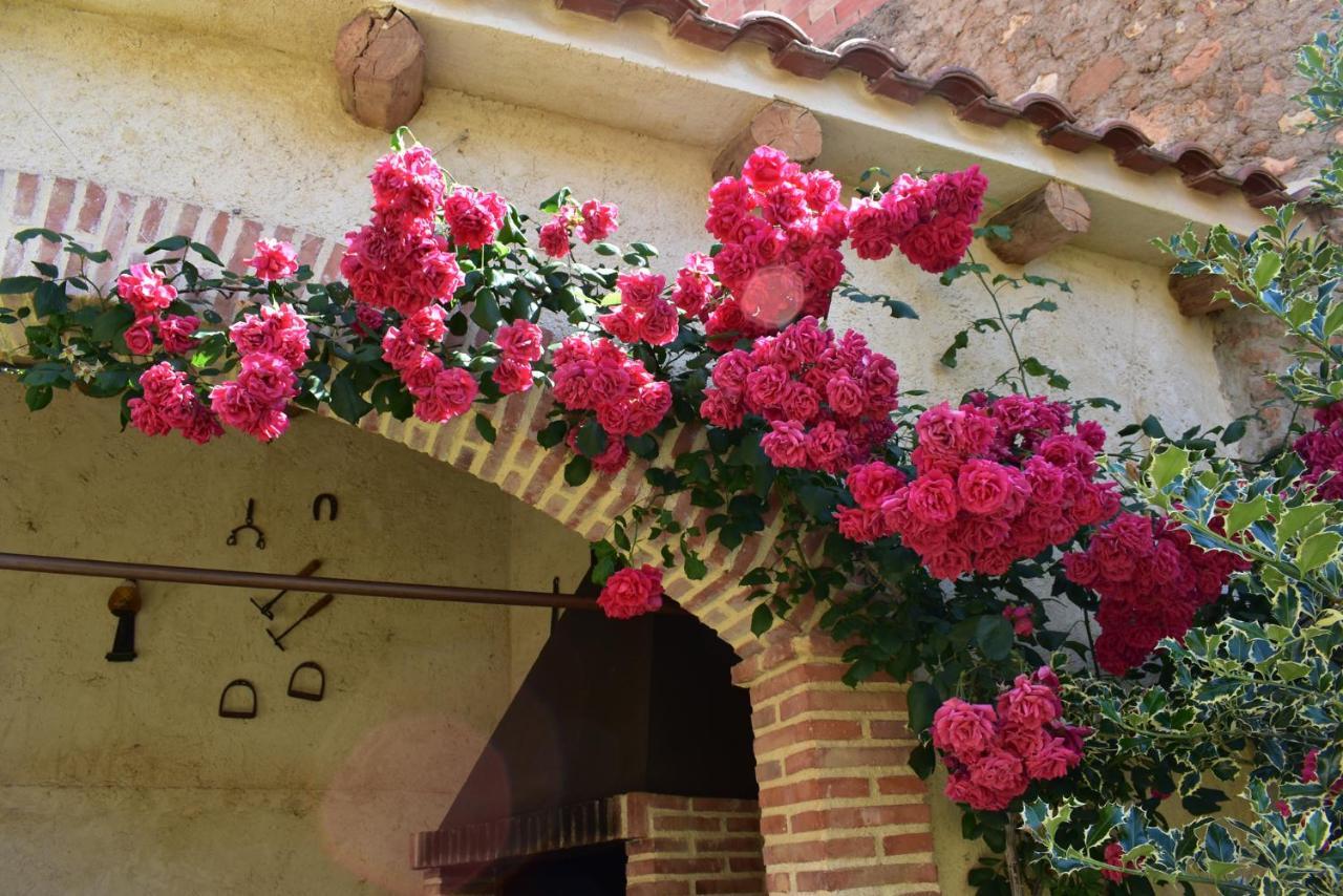 Willa La Casa Del Azafran Villanueva del Rebollar de la Sierra Zewnętrze zdjęcie